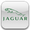 jaguar-.png